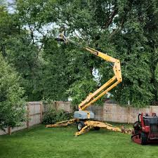 Best Tree and Shrub Care  in Clarksville, VA