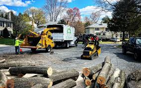 Best Tree Mulching  in Clarksville, VA
