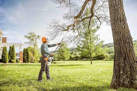 Best Seasonal Cleanup (Spring/Fall)  in Clarksville, VA