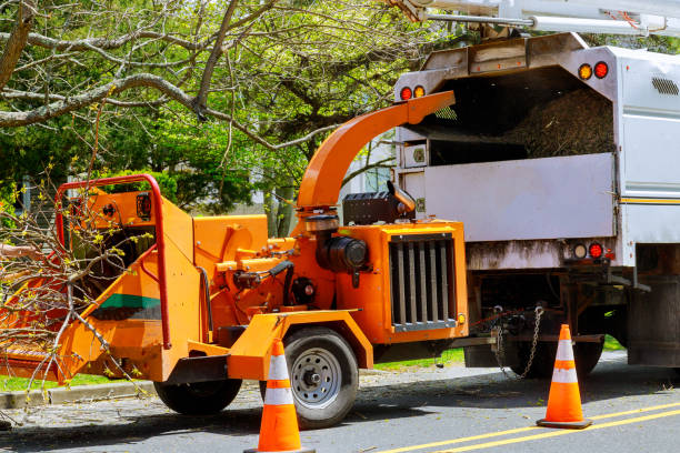 Best Soil Testing and Treatment  in Clarksville, VA