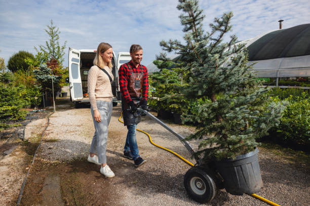 Best Lawn Watering Services  in Clarksville, VA